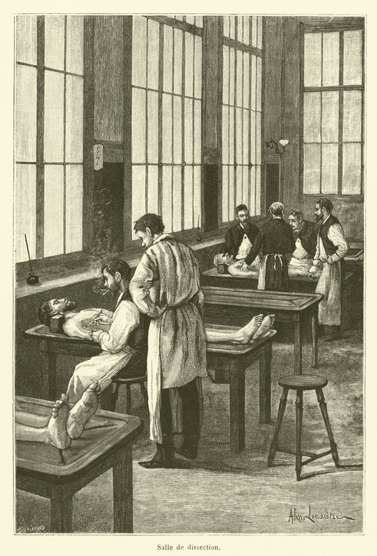Sala de dissecação (gravação) de French School