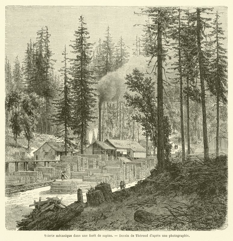 Serraria mecânica em uma floresta de abeto (gravura) de French School
