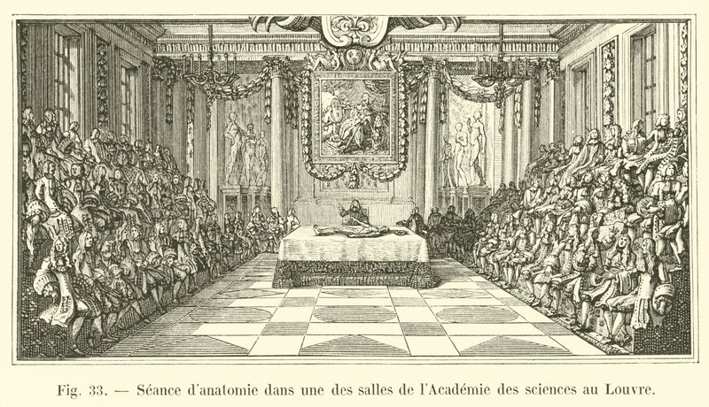 Seance danatomie em uma das salas da Academia de Ciências do Louvre de French School