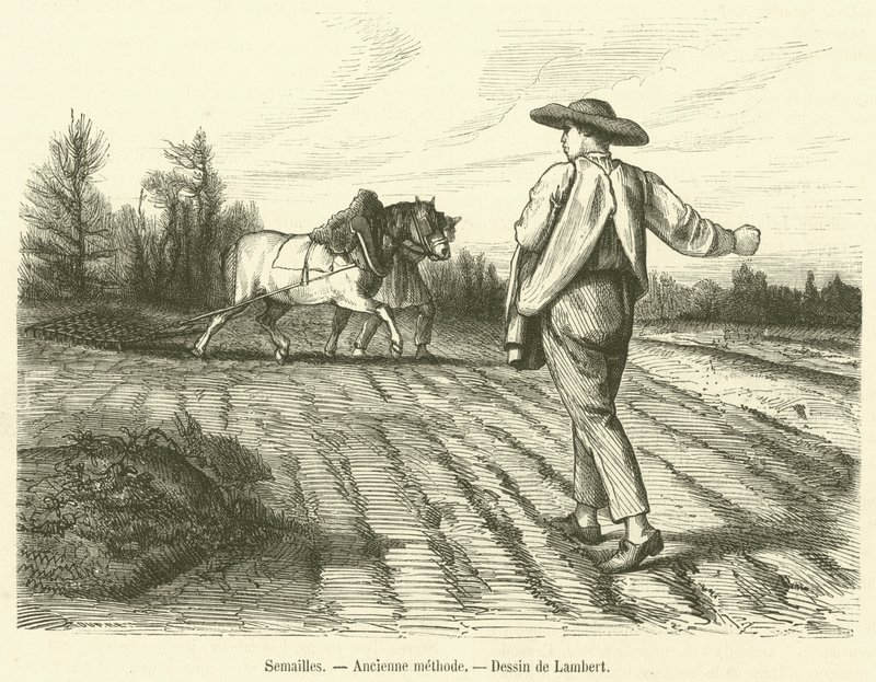 Semeadura, método antigo (gravura) de French School