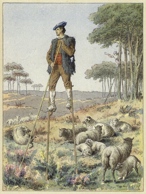 Pastor, palafitas, landes, frança de French School