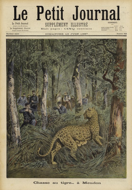 Soldados, caça, um, escapado, tigre, meudon, frança, 1897 de French School