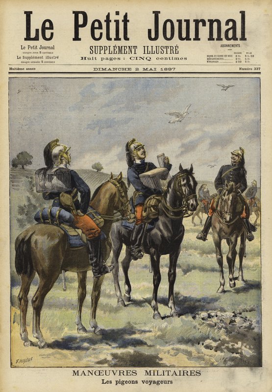 Soldados, usando, pombos portadores, ligado, militar, manobras, Soissons, frança de French School
