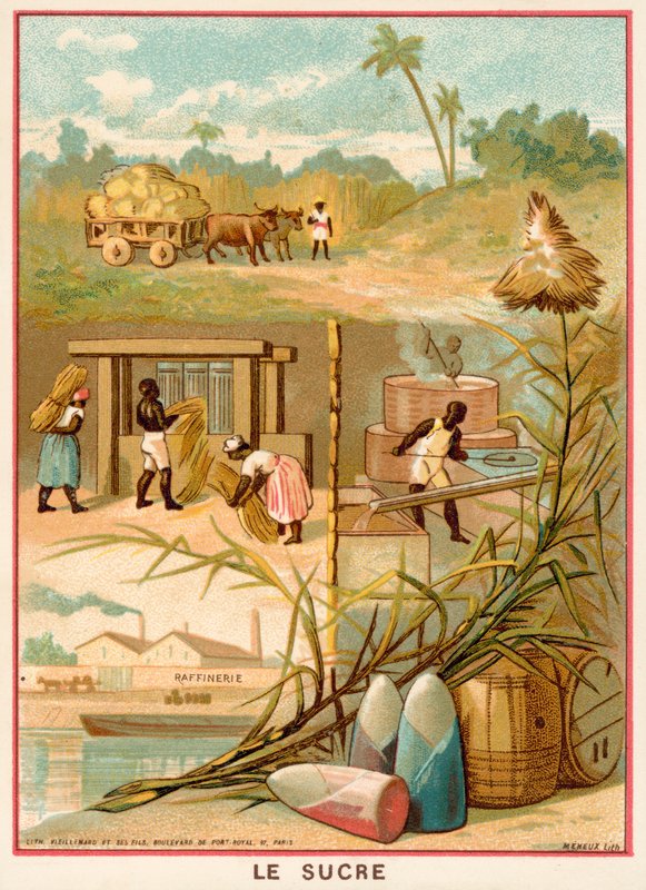 Açúcar (chromolitho) de French School