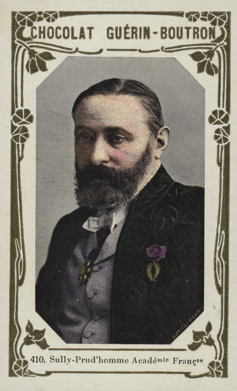 Sully-Prudhomme, Academia Francesa (foto colorida) de French School