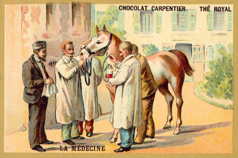 Tirar sangue de um cavalo (chromolitho) de French School