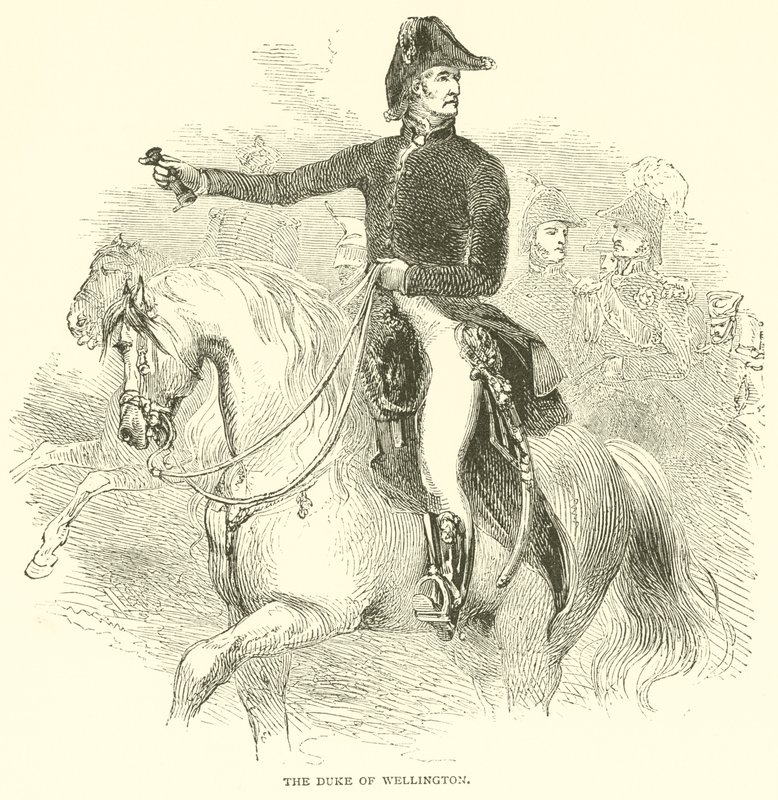 O Duque de Wellington (gravura) de French School