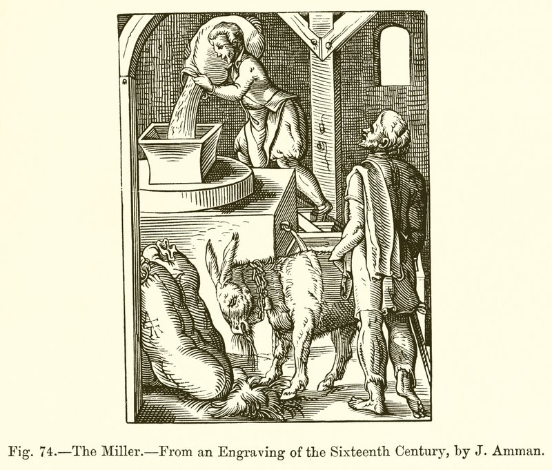 The Miller de French School