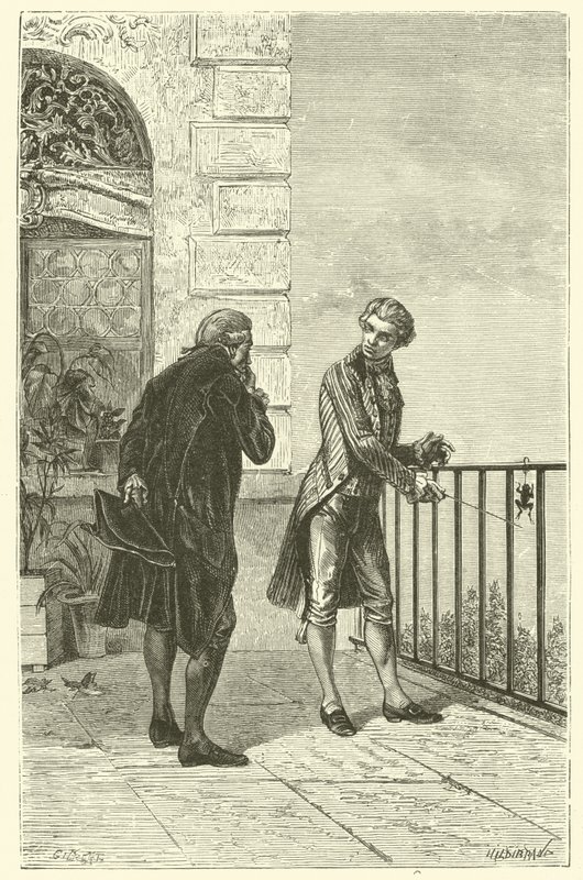 O sapo de Galvani (gravura) de French School