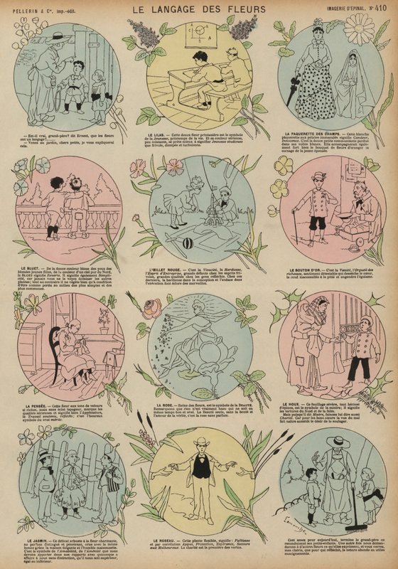 A linguagem das flores (gravura colorida) de French School