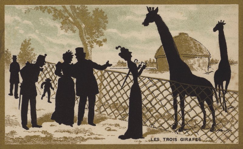 As três girafas (chromolitho) de French School