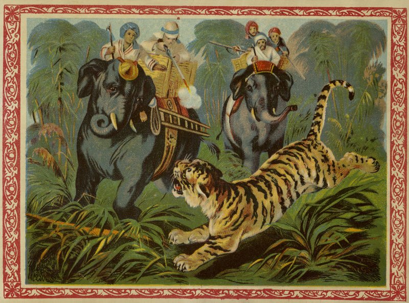 Caça ao tigre de French School