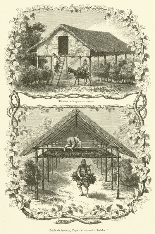 Tilembar ou Magnanerie Persa (gravura) de French School