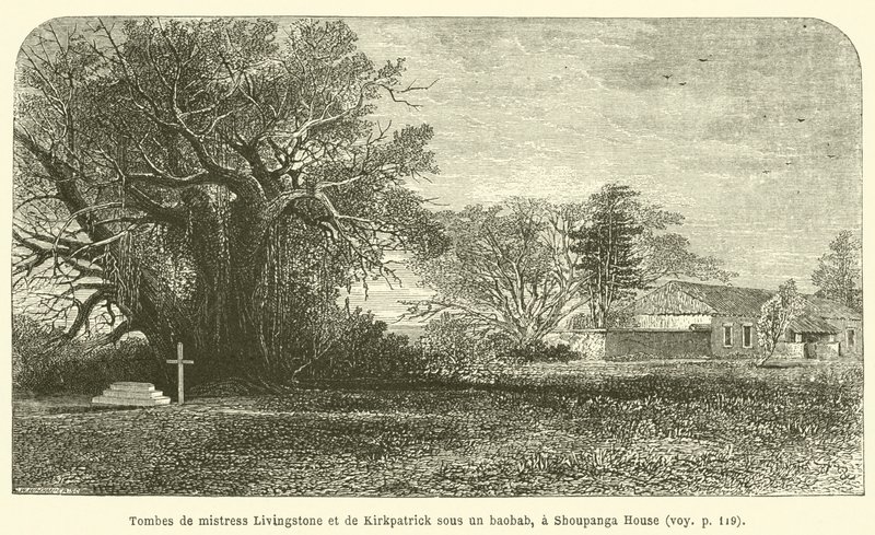 Túmulos de Mistress Livingstone e Kirkpatrick debaixo de uma árvore baobá, uma casa de Shoupanga (gravura) de French School
