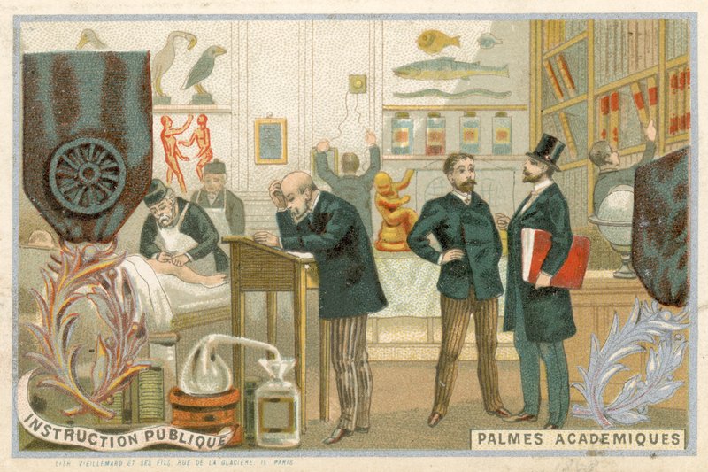 Cartão de comércio com uma imagem do Ordre des Palmes Academiques de French School
