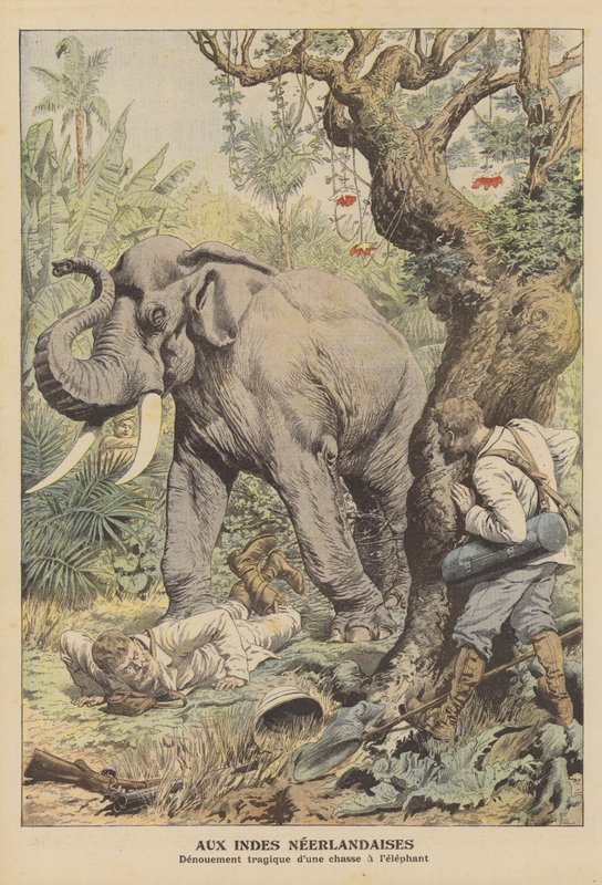 Trágico final de uma caça ao elefante nas Índias Orientais Holandesas (lito colorido) de French School