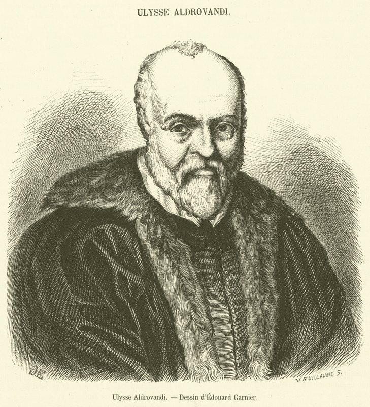 Ulysse Aldrovandi (gravura) de French School