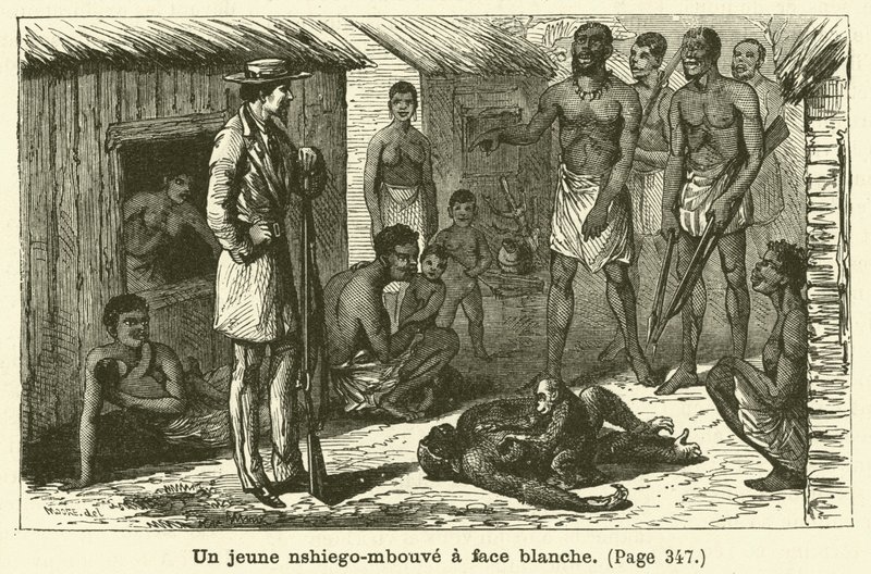 Um jovem nshiego-mbouve de rosto branco (gravura) de French School