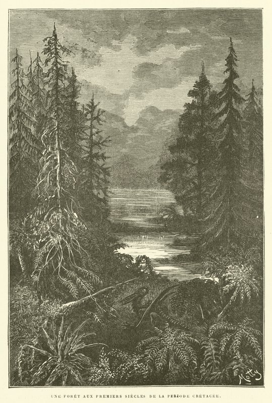 Uma floresta nos primeiros séculos do período Cretáceo (gravura) de French School