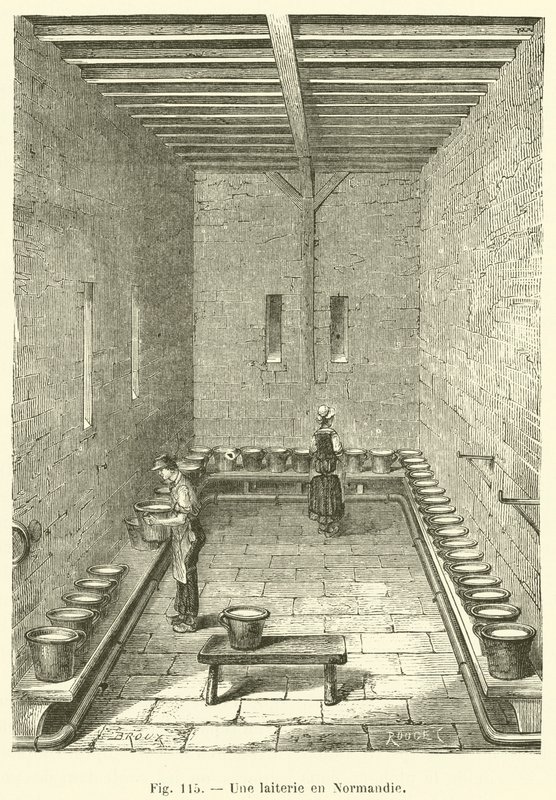 Uma leiteria na Normandia (gravura) de French School