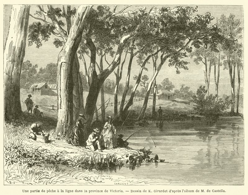 Angling in Victoria (gravura) de French School