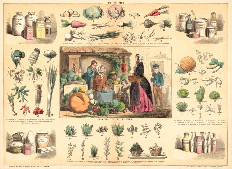 Vegetais (gravação a cores) de French School