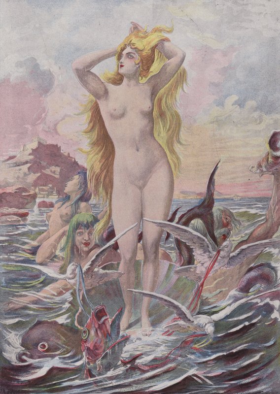 Venus Anadyomene de French School