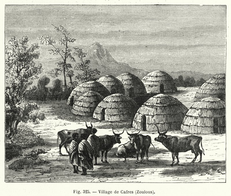 Vila de Cafés, Zulus (gravura) de French School