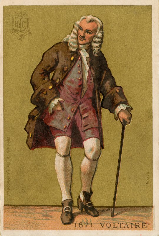 Voltaire de French School