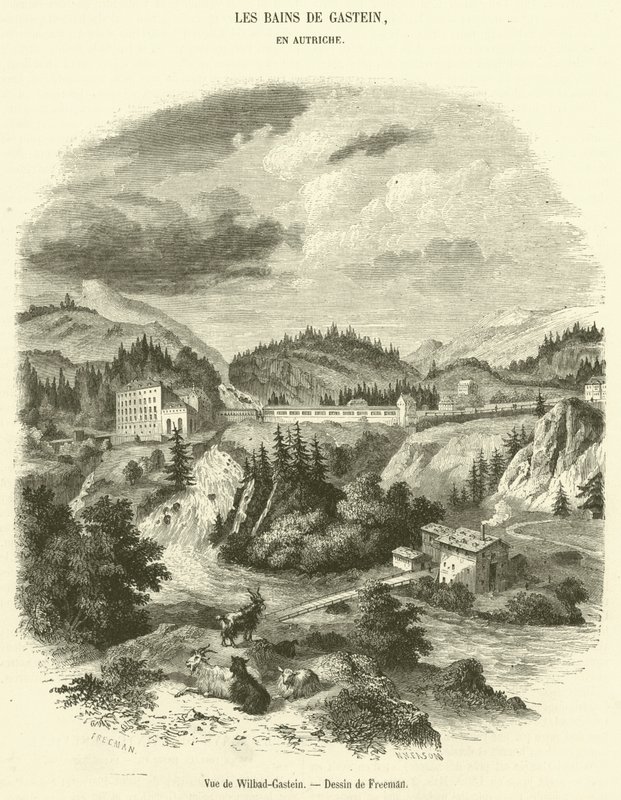 Vista de Wilbad-Gastein (gravura) de French School