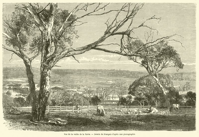 Vista do vale do Yarra (gravura) de French School