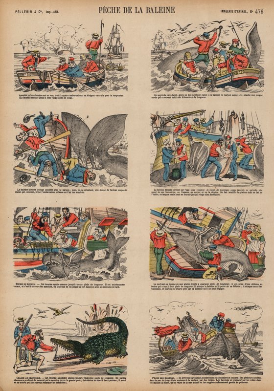 Caça à baleia (gravação colorida) de French School