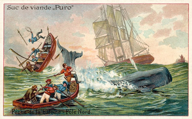 Caça à baleia no Ártico (chromolitho) de French School
