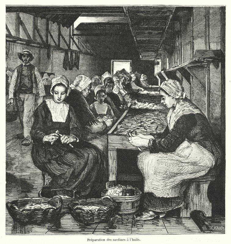 Mulheres preparando sardinhas (gravura) de French School