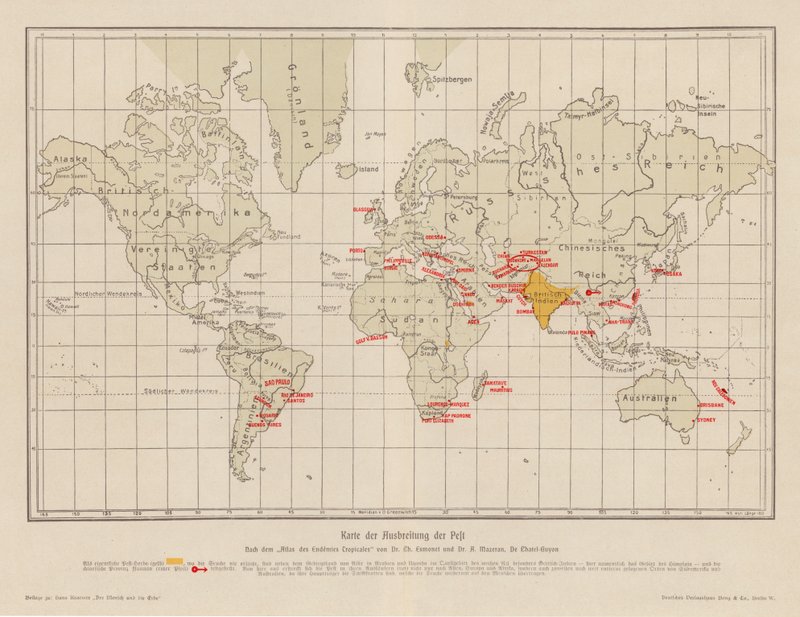 Mapa-mundo da propagação da peste (litografia a cores) de French School