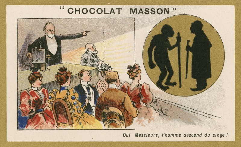 Sim, o homem descende de um macaco de French School