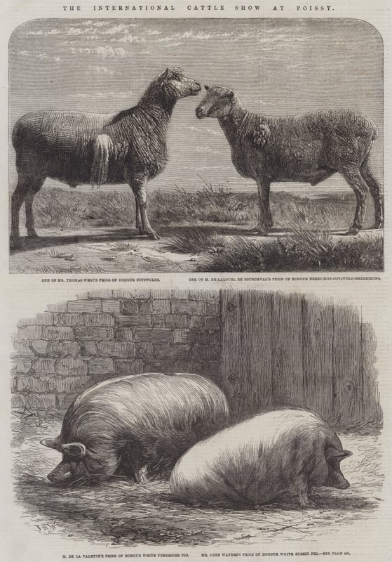 O International Cattle Show em Poissy de Friedrich Wilhelm Keyl
