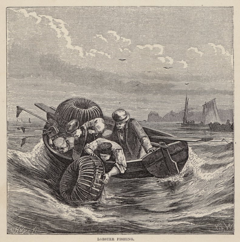 Lobster Fishing (gravura colorida) de Friedrich Specht