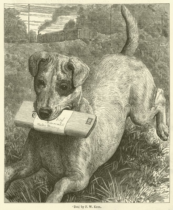 Cão (gravura) de Friedrich Wilhelm Keyl
