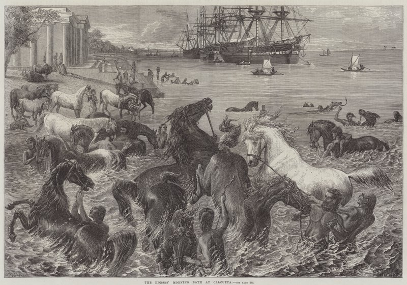 Banho matinal dos cavalos em Calcutá de Friedrich Wilhelm Keyl
