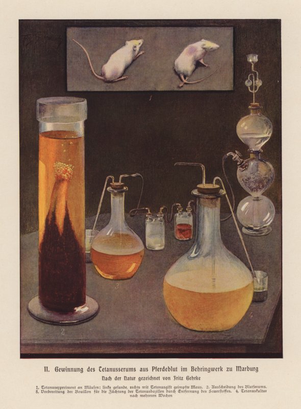 Obtenção de soro tetânico a partir de sangue de cavalo, Marburgo, Alemanha (litografia a cores) de Fritz Gehrke