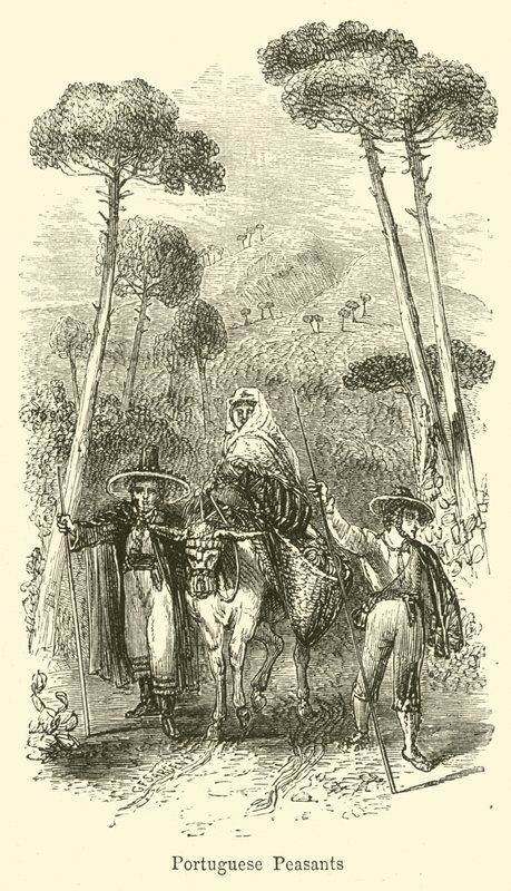 Camponeses portugueses de G. F. Sargent