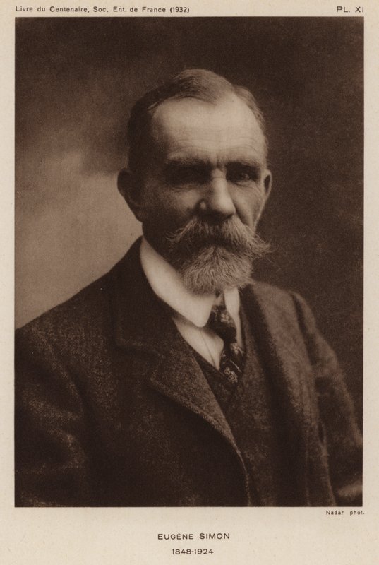 Eugene Simon, naturalista, entomologista e taxonomista francês de aranhas. (foto a p/b) de Gaspard Felix Tournachon Nadar