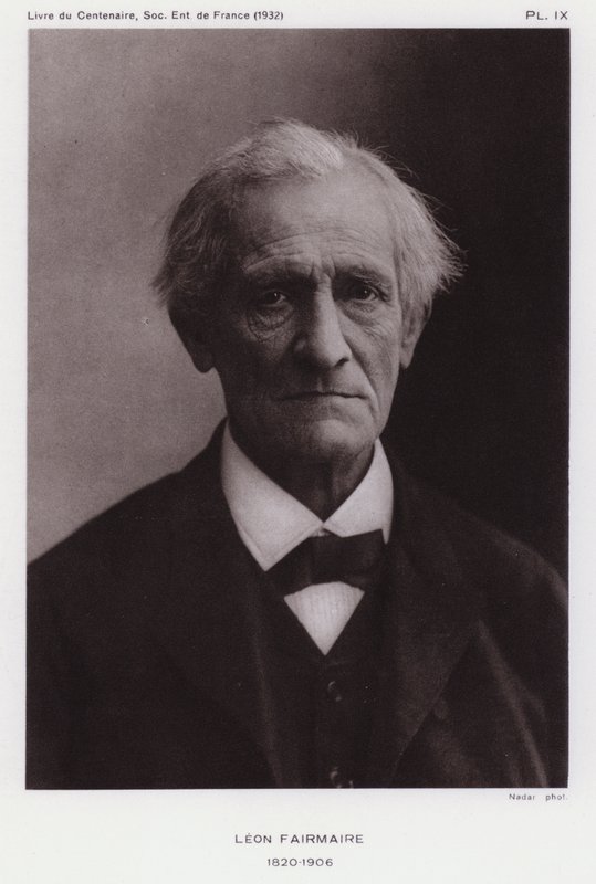 Leon Fairmaire, entomologista francês (foto a p/b) de Gaspard Felix Tournachon Nadar