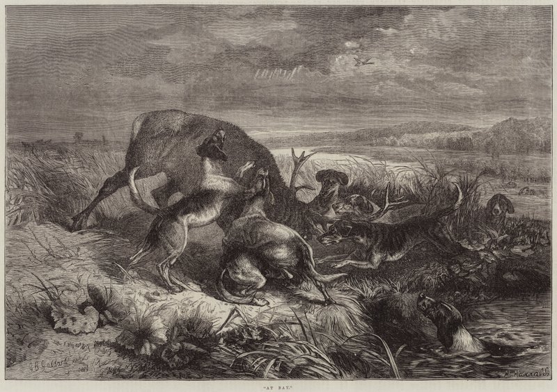 Na baía de George Bouverie Goddard
