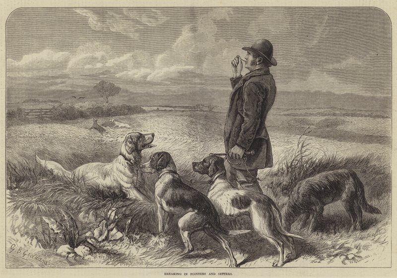Quebrando em ponteiros e setters de George Bouverie Goddard
