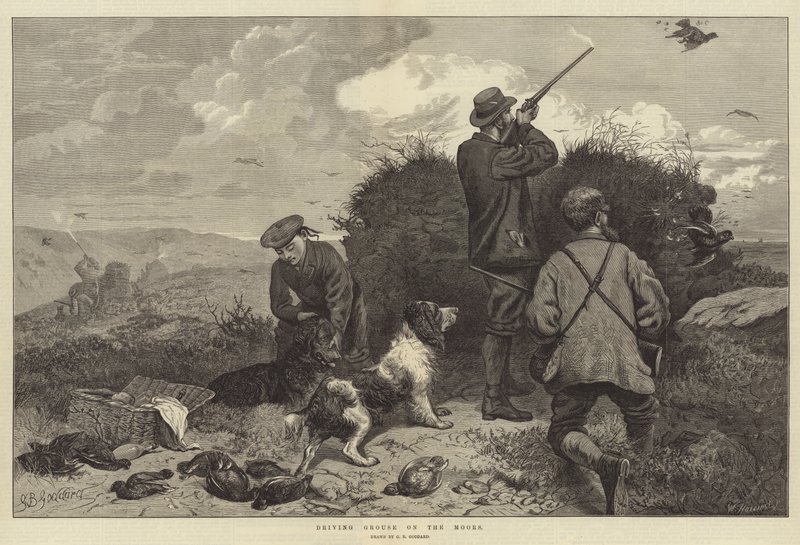 Condução Grouse sobre os mouros de George Bouverie Goddard