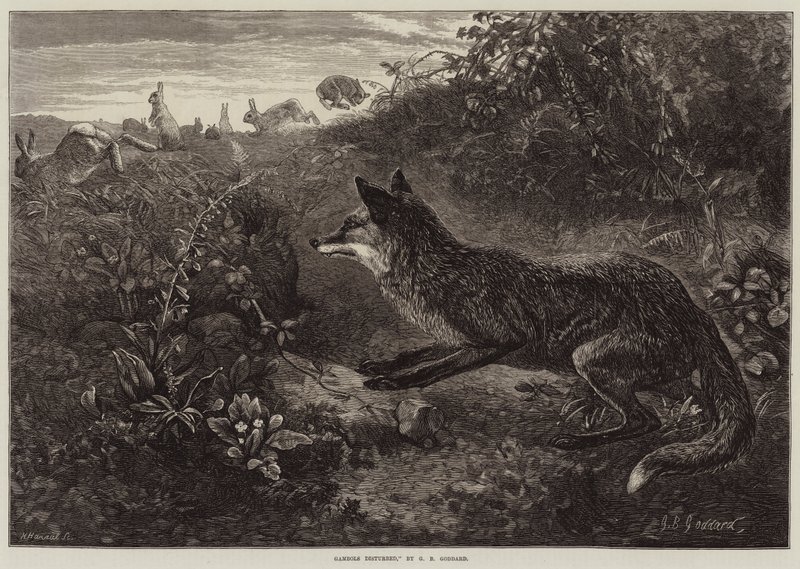 Gambols Disturbed de George Bouverie Goddard
