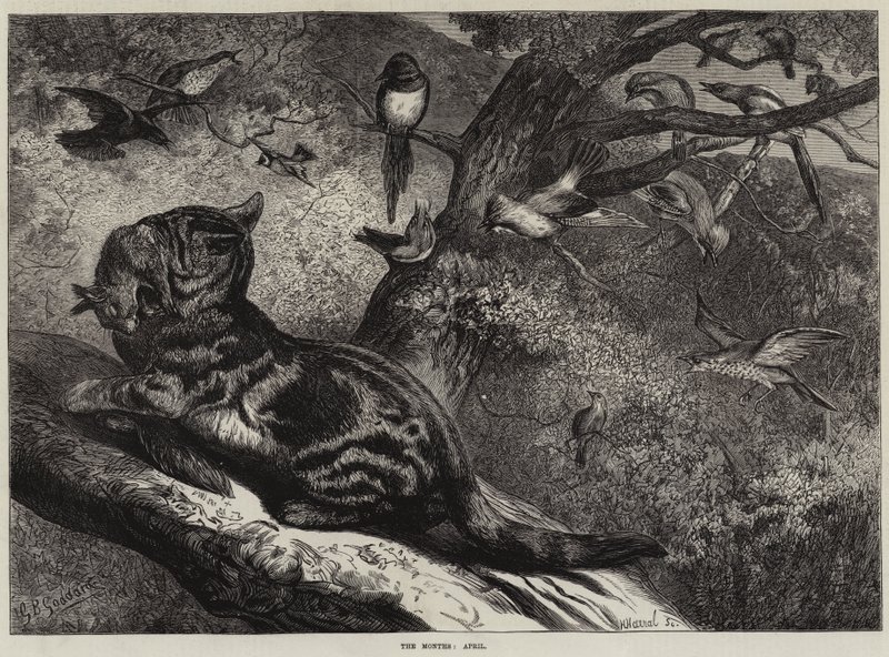 Os meses de abril de George Bouverie Goddard