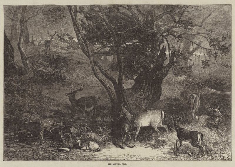 Os meses de julho de George Bouverie Goddard